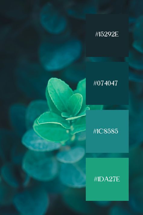 Two Colors Combinations, Color Scheme With Teal, Tranquility Color Palette, Teal Combination Colors, Color Schemes With Teal, Color Combinations For Design, Blue Green Color Combinations, Dark Theme Color Palette, Dark Green And Blue Color Palette