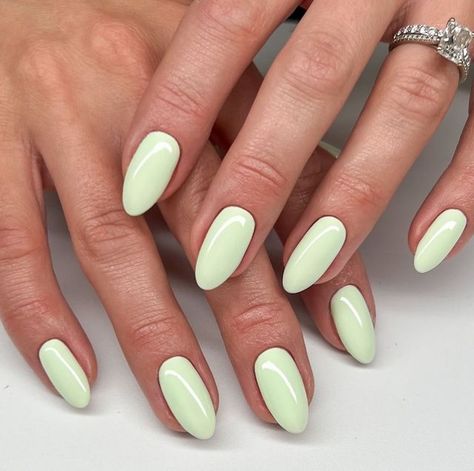 Daisy Nail Designs on Instagram: "🍈🥥🐚🍡 Pistachio Dreams in Mint To Be DC 2512 - Available in Gel Polish and Lacquer from the Free Spirit Collection.   💅🏽 @nailsbytaylorjustine + @karisnailart   #dndgelpolish #nails #dndminttobe #dnd2512 #mintnails #mintgreennails #greennails #softnails #dreamynails #prettynails #nailsinspiration #pastelnails #perfectnails" Mint Green Manicure, Pistachio Color Nails, Milky Green Nails, Green Pastel Nails, Pale Green Nails, Mint Gel Nails, Pistachio Nails, Daisy Nail Designs, Lime Green Nails