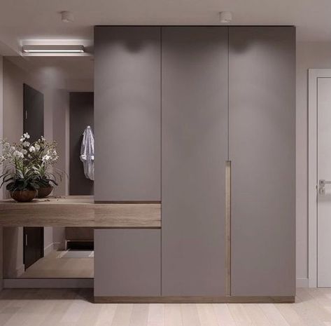 Vstupná Hala, Modular Wardrobe, Modern Cupboard, Entrance Furniture, Bedroom Cupboards, Modern Cupboard Design, Wardrobe Door Designs, Home Hall Design, Bedroom Cupboard Designs