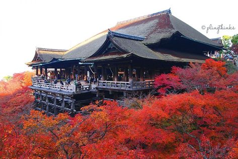 Nishiki Market, Kyoto Temple, Kiyomizu-dera Temple, Kyoto Travel Guide, Tuna And Egg, Kyoto Travel, Kiyomizu Dera, Mad Hatters, Walking Exercise