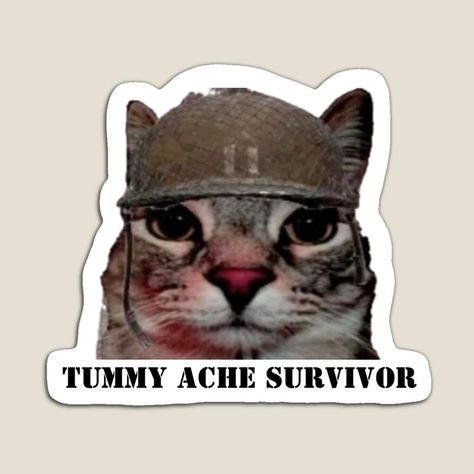 Get my art printed on awesome products. Support me at Redbubble #RBandME: https://www.redbubble.com/i/magnet/Tummy-Ache-Survivor-War-Cat-Stare-by-ConstoStore/160103334.TBCTK?asc=u Tummy Ache Survivor, Tummy Ache, Stomach Ache, Glossier Stickers, Transparent Stickers, Sticker Design, Vinyl Decal Stickers, Awesome Products, Vinyl Sticker