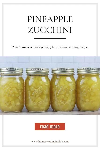 Zucchini pineapple canning recipe. How to make mock pineapple using zucchini! This is a safe and tested zucchini canning recipe that's safe for water bath canning. Use your pineapple zucchini canning recipe in recipes or eat it plain. This is a unique canning recipe that's easy to make even for beginner canners. Make faux pineapple to use extra zucchini from your garden. Zucchini Canning Recipes, Mock Pineapple, Can Zucchini, Preserving Zucchini, Puffed Wheat Squares, Canning Zucchini, Zucchini Pineapple, Canned Zucchini, Harvest Right Freeze Dryer