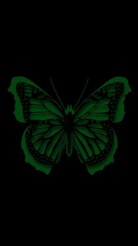 Green butterfly wallpaper Green Butterfly Wallpaper Aesthetic, Green Aesthetic Butterfly, Green Butterfly Wallpaper, Butterfly Wallpaper Aesthetic, Green And Black Background, Sage Green Aesthetic, Aesthetic Butterfly, Dark Green Wallpaper, Dark Green Aesthetic