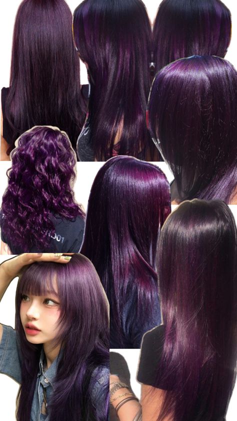 Smoky Amethyst Hair Color, Mixed Purple Hair, Grape Hair Color Dark Purple, Purple Hair Plum, Black Violet Hair Color, Black Roots Purple Hair, Purple Wolfcut, Black Hair With Blue Undertones, Purple Hair Brown Skin