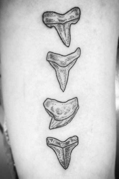 Shark Tooth Spine Tattoo, Shark Teeth Spine Tattoo, Shark Tooth Drawing Tattoo Ideas, Sharks Teeth Tattoo, Mako Shark Tooth Tattoo, Tiger Shark Tooth Tattoo, Sharks Tooth Tattoo, Traditional Tattoo Tooth, Shark Skeleton Tattoo