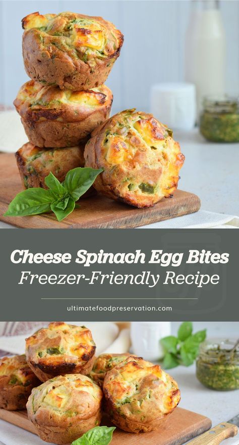 Freezer Breakfast Egg Bites, Freezable Lunch Ideas, Egg Recipes To Freeze, Can You Freeze Egg Bites, Egg Bites To Freeze, Freezer Friendly Egg Bites, Freezing Egg Bites, Freeze Egg Bites, Freezable Egg Recipes