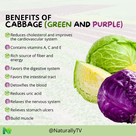 Did you know that there is a magical ingredient that can transform your health and well-being? 🥳

💚 It is packed with essential vitamins such as C and K, essential for maintaining our immune system and strong bones. 💪

🥗 In addition, its fiber content is ideal for improving digestion and keeping us satiated for longer.

🌿 This food fights free radicals, helping to delay aging and keep our skin radiant.

🍲 But that's not all, it is also incredibly versatile in the kitchen. Cabbage Benefits, Improving Digestion, Stomach Ulcers, Purple Cabbage, Uric Acid, Strong Bones, Sources Of Fiber, Reduce Cholesterol, Essential Vitamins