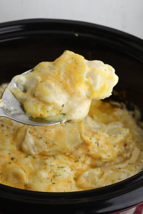 Au Gratin Potatoes Crockpot, Au Gratin Potatoes Recipe, Gratin Potatoes Recipe, Potatoes Au Gratin Recipe, Scalloped Potatoes Crockpot, Slow Cooker Scalloped Potatoes, Crock Pot Baked Potatoes, Au Gratin Potatoes, Au Gratin Potato Recipes