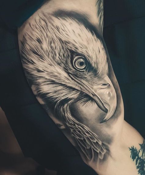 Eagle Inner Bicep Tattoo, Eagle Tattoo Inner Bicep, Eagle Bicep Tattoo, Tattoos Inner Bicep, Tattoo Designs Chest, Tattoo Designs Dragon, Bald Eagle Tattoos, Tattoos Chest, Tattoo Homme