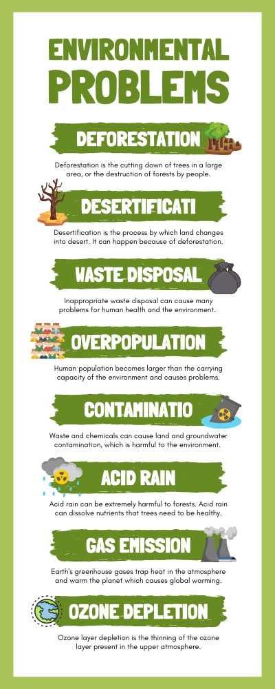 Environmental Problems English Infographic English Infographic, Environmental Science Projects, Over Population, New English Words, Social Studies Projects, Environmental Problems, Esl English, Biology Facts, Environmental Problem