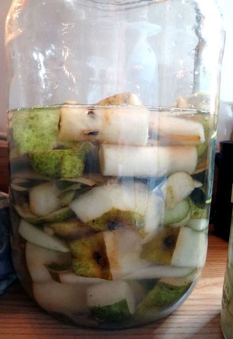 Pixiespocket.com - It is so easy to make pear vinegar using just fruit scraps, water, and a bit of vinegar mother. This technique works for almost any fruit, too. Pear Cider Vinegar, Diy Pear Cider Vinegar, Pear Vinegar Recipes, Pear Ideas, Fruit Scraps, Pear Vinegar, Fermenting Foods, Vinegar Recipes, Dip Mixes