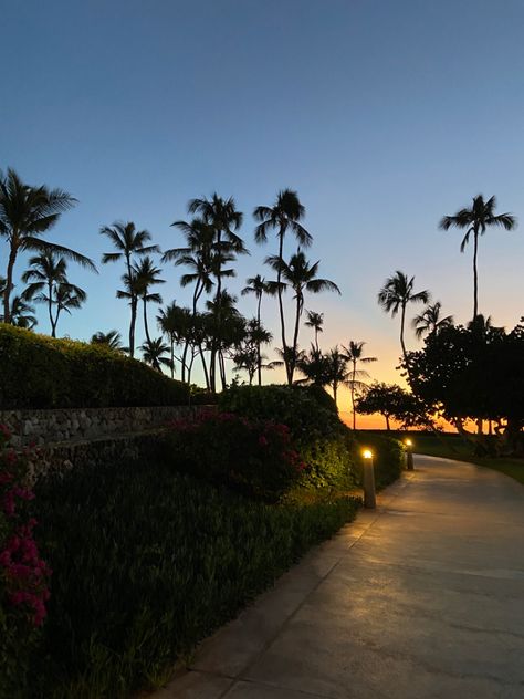 sunset with the palm trees at a resort in hawaii Island Sunset Aesthetic, Acubi Core, Resort Aesthetic, Pretty Skys, Florida Aesthetic, Island Aesthetic, Explore Aesthetic, Hawaii Resorts, Island Sunset