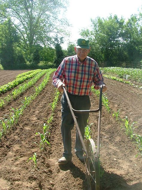 Farmer in his well-tended garden with an old hand-plow. Saline County, AR. My Dad has one of these Middle America, America Photo, True Gentleman, Down On The Farm, Old Tools, Farms Living, Rural Life, Country Farm, On The Farm