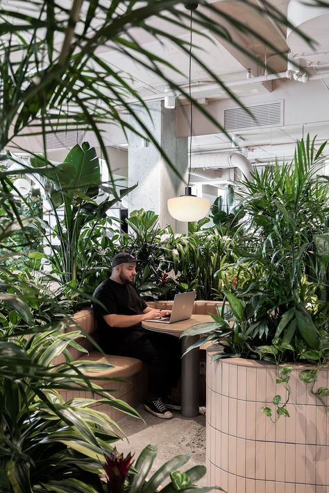 Traditional Desk, Green Office, Booth Seating, Office Plants, Interior Plants, Brutalist Architecture, Office Snapshots, Workplace Design, Cafe Interior Design