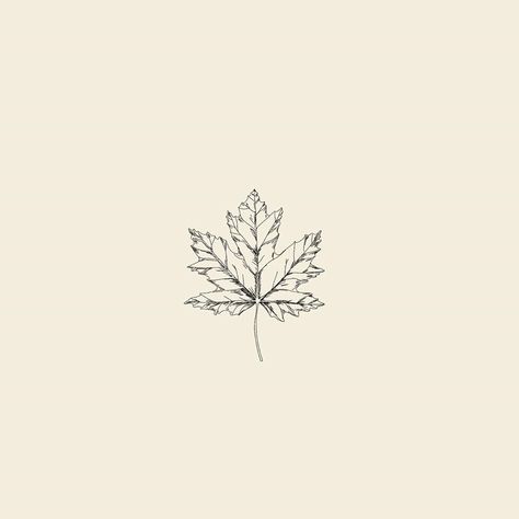 Fall Tattoo Aesthetic, Fall Leaves Tattoo Black, Maple Leaf Logo Design, Tattoo Leaf Designs, Fall Logo Design, Fall Themed Tattoos, Autumn Leaf Tattoo, Fall Leaf Tattoo, Autumn Leaf Drawing