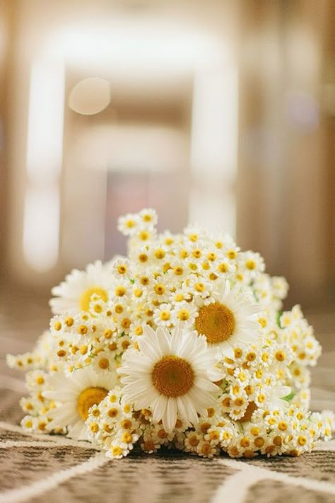 Daisy Wedding Bouquet, Daisy Wedding Theme, Daisy Bouquet Wedding, Yellow Wedding Bouquet, Daisy Wedding, Daisy Bouquet, Spring Wedding Flowers, Yellow Wedding, Wedding Bouquet