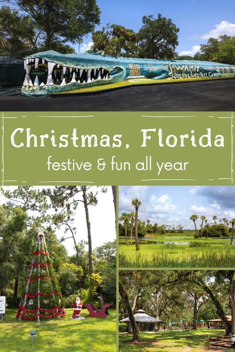 History buffs and Christmas fanatics will love a trip to Christmas, Florida, where the festive spirit is felt year-round in this historically significant destination. 🎄 📸: Douglas Scaletta Christmas Florida, Sisters Trip, Holiday Lights Display, Usa Roadtrip, Florida Christmas, Florida Destinations, December Holidays, Christmas Town, Florida House