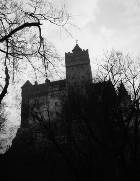 Dracula Castle Aesthetic, Romania Aesthetic Dark, Romania Vampire, Dracula Moodboard, Draculas Castle Romania, Victorian Gothic Aesthetic, Castle Dracula, Castle Romania, Real Haunted Houses