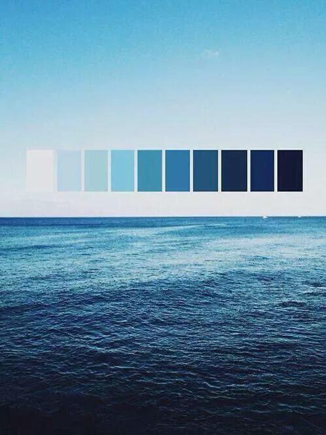 Imgur: The most awesome images on the Internet. Everything Is Blue, Colour Board, Feeling Blue, Colour Schemes, Color Pallets, Blue Aesthetic, Color Theory, Colour Palette, Color Inspiration