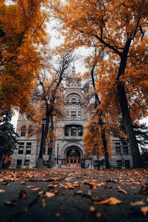 Downtown Salt Lake City - City Hall // @itsmesaul Salt Lake City In Winter, Salt Lake City Library, Downtown Salt Lake City, Salt Lake City Photography Locations, Salt Lake City Utah Photography, Salt Lake City Photography, Lake Photoshoot, Salt Lake City Downtown, Living Modern