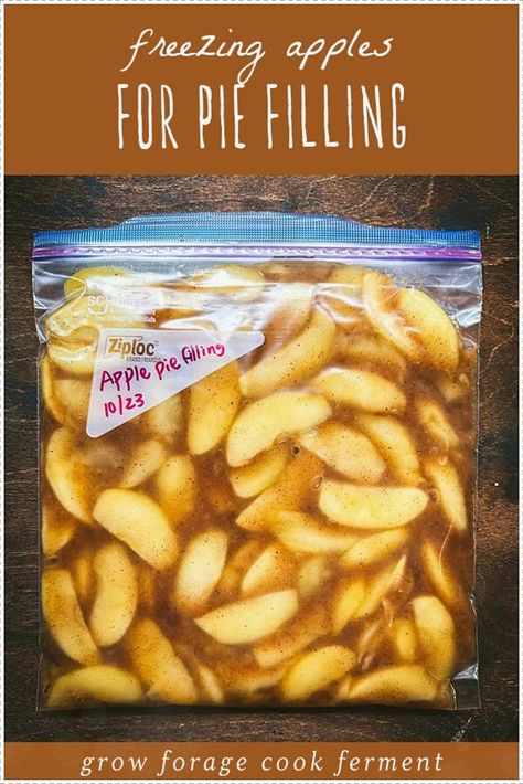 Want to start freezing apples for pie? This guide for make ahead apple pie filling is one the best, easy apple recipes for fall. This method preserves the freshness and flavor of apples, making baking homemade apple pie a piece of cake! Made without cornstarch, this simple apple pie filling is thickened with arrowroot powder. Find more Homesteading at growforagecookferment.com. Freezing Apples For Pie, Make Ahead Apple Pie, Simple Apple Pie Filling, Easy Apple Pie Filling Recipes, Freezing Apple Pie, Apples For Pie, Freezer Apple Pie, Preserve Apples, Freezer Apple Pie Filling