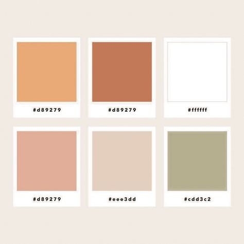 Burnt oranges, dusty rose/peaches, deep greenery, champagne Burnt Orange Bedroom Color Pallets, Feminine Homestead, Green Champagne Color Palette, Muted Peach Color Palette, Rust And Blush Color Palette, Dusty Orange Color Palette, Burnt Color Palette, Dusty Peach Color, Burnt Orange Colour Scheme