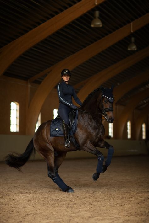 Piaffe Dressage, Dressage Horses Photography, Rich Equestrian Aesthetic, Horse Riding Competition, Dressage Aesthetic, Dressage Photography, Rich Equestrian, English Horse Riding, English Horses