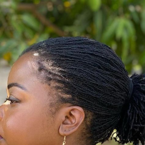 Sofia Saungweme on Instagram: "😋 no more hair tying struggles! #microlocs #microlocksjourney #microlocgrowth #locjourney" Micro Locks, Braids Bun, Loc Inspiration, Micro Locs, Sister Locs, Micro Braids, Sisterlocks, Braided Bun, Locs Hairstyles