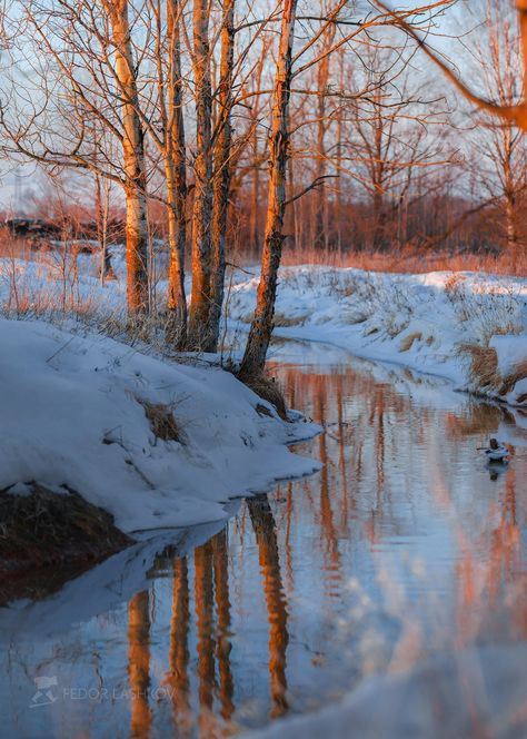 Winter Photography Nature, Painting Snow, Scenery Pictures, Winter Painting, Winter Scenery, Landscape Artwork, Snow Scenes, Impressionist Art, Landscape Illustration