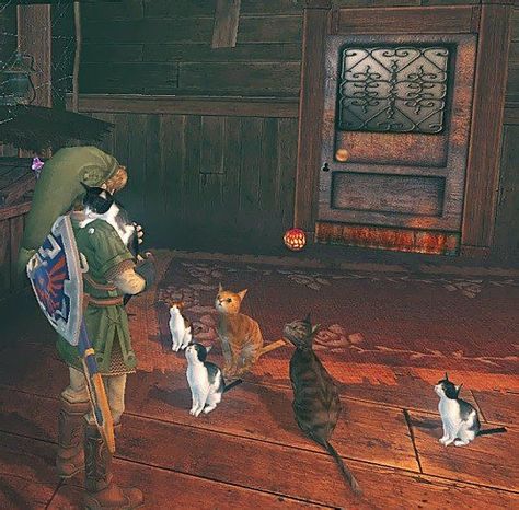 Comfort Corner, Wall To Wall Carpet, Spotify Icon, Link Meme, Zelda Funny, Zelda Twilight Princess, Link Zelda, Play Game, Zelda Art