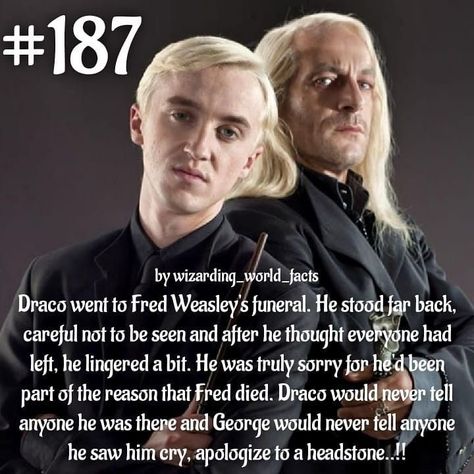 Harry Potter Stories, Harry Potter Feels, Harry Potter Puns, Harry Potter Scene, Harry Potter Images, Images Harry Potter, Harry Potter Comics, Draco Harry Potter, Potter Facts