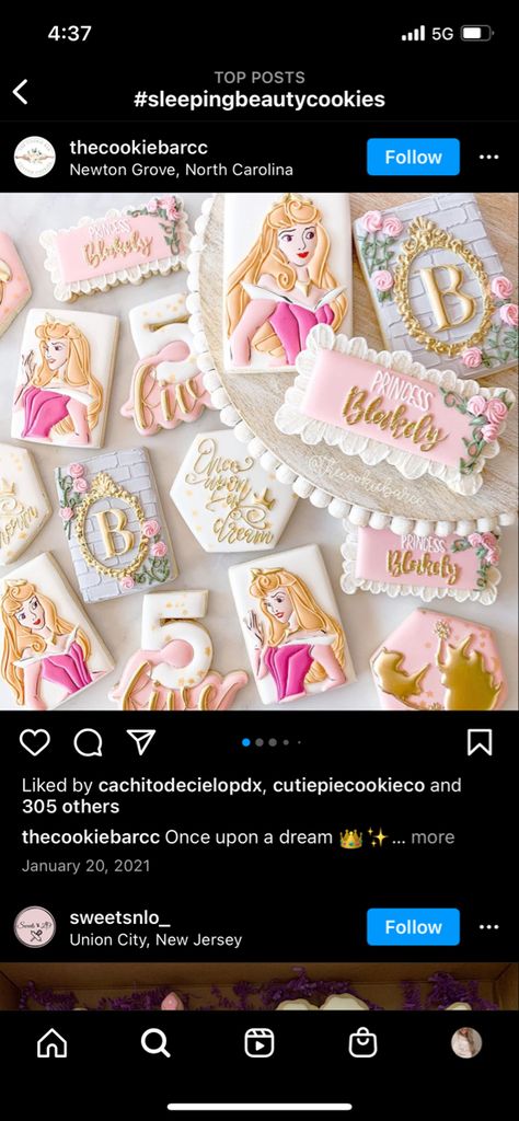 Princess Aurora Cookies Decorated, Princess Aurora Cookies, Sleeping Beauty Cookies Decorated, Aurora Cookies, Sleeping Beauty Cookies, Beauty Cookies, Princes Aurora, Girly Cookies, Aurora Birthday