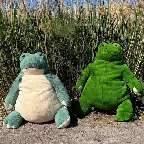 Gron and Groda are hanging out by the reeds!!! Thinking about frog things, at a frog time! #frog #froggy #frogcore #frogs #djskog #djungelskog #skog #skoggy #skoggybear #teddybear #teddybears #teddybearsofinstagram #plushie #plushies #plushiesofinstagram #gifts #gift #giftsforall #giftsforher #giftsforalloccasions Frog Stuffed Animal, Frog Plush, Frog Pictures, Frog And Toad, Cute Frogs, Cute Stuffed Animals, Toad, Hanging Out, Happy Places