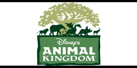 Wdw Prep School, Disney Animal Kingdom, Tema Disney, Disney Secrets, Disney Facts, Disney Animals, Disney World Planning, Vacation Planner, Disney Planning