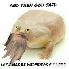 Its Wednesday my dudes It Is Wednesday My Dudes, Its Wednesday, Funny Spongebob, Netflix Premium, Frog Meme, Frog Pictures, Funny Text Posts, Funny Frogs, Morning Humor