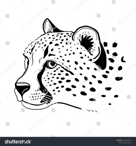 Cheetah portrait head isolated on white background. Template. Close-up. Clip art. Hand Painting. Ink. Line art, black and white #Ad , #SPONSORED, #white#background#Template#isolated Cheetah Line Art, Cheetah Portrait, White Background Template, Ink Line Art, Line Art Black And White, Line Art Black, Background Template, Art Black And White, Hand Painting