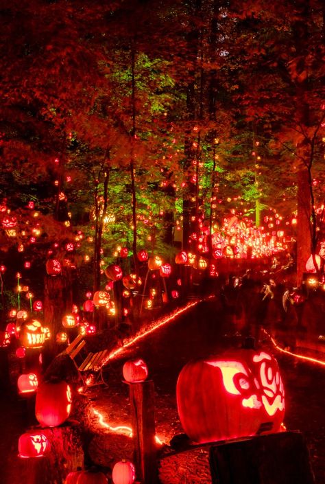 Jack O Lantern Spectacular, Halloween Attractions, Hot Air Balloon Festival, Walking Trail, Zombie Walk, Halloween Parade, Special Halloween, Halloween Event, Louisville Kentucky