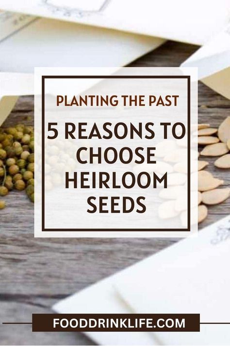 Looking for the best seeds for your garden? Here are 5 reasons to choose heirloom seeds. Herb Planting, History Of Agriculture, Heirloom Seeds Catalog, Kids Vegetables, Sustainable Gardening, Potager Garden, Seed Catalogs, Seed Saving, Unusual Plants