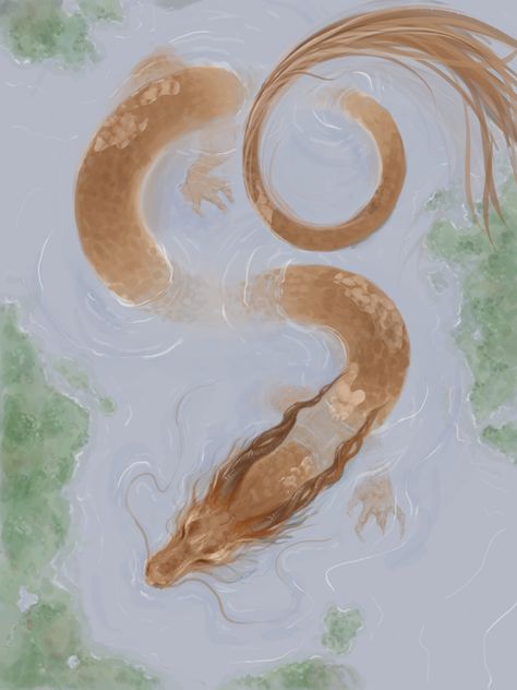 Water Creatures Drawing, Korean Dragon Art, Japanese Water Dragon, Ethereal Dragon, Koi Fish Dragon, Golden Dragon Tattoo, River Dragon, Dragon Koi Fish, Chinese Dragon Drawing