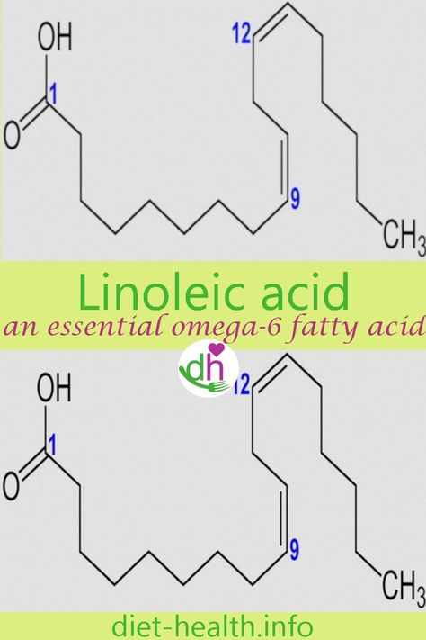 Linoleic acid Basic Biology, Nerve Cells, Peripheral Nervous System, Body Cells, Daily Energy, Nerve Cell, Cell Membrane, Linoleic Acid, Acid Reflux