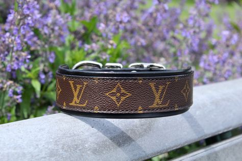 Red dog collar