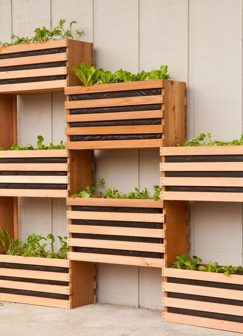 If you prefer a clean, minimalist aesthetic, stacked cedar boxes attached to the side of your home make for a striking vertical garden. Vertical Vegetable Gardens, Vertical Garden Design, Vertical Vegetable Garden, نباتات منزلية, Vertical Herb Garden, Vertical Garden Diy, Vertical Gardens, Hydroponic Gardening, Wooden Planters