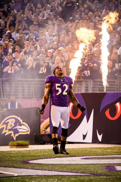 Cool Football Pictures, Go Ravens, Nfl Ravens, Football Poses, Baltimore Ravens Football, Nfl Football Pictures, Ray Lewis, Ravens Fan, Ravens Football