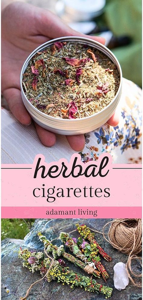 A deep dive into the fascinating world of medicinal herbs, this resource reveals the art of crafting Herbal Cigarettes. Rich with insights about smokable herbs and plants, it provides a thorough understanding of these alternative herbal remedies. Explore the range of Herbal Smoking Blends and learn about their distinctive characteristics and potential health benefits. Smokable Herbs Diy, Smokable Herb Blends, Medicinal Herbs Recipes, Herb Crafts, Smokable Herbs, Medicinal Herbs Remedies, Herbal Medicine Recipes, Herbal Remedies Recipes, Herbs And Plants