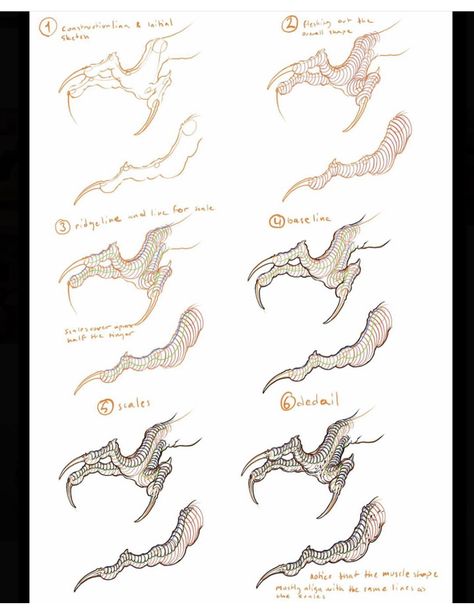 Chinese Dragon Anatomy, Traditional Japanese Dragon Drawing, Dragon Claws Drawing Reference, Dragon Feet Reference, Traditional Japanese Tattoos Dragon, Dragon Claws Drawing, Dragon Claw Tattoo, Dragon Hands, Dragon Paws