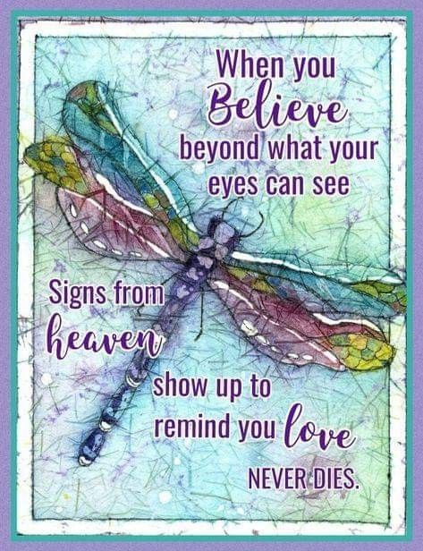 Dragonfly Quotes, In Loving Memory Quotes, Sympathy Quotes, Dragon Flies, Quotes Short, Memories Quotes, Bible Quotes Prayer, Herschel, Dragonflies