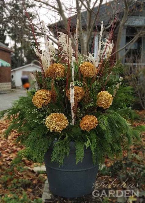 Front Porch Landscape, Planter Arrangements, Winter Planters, Christmas Urns, Outdoor Christmas Planters, Holiday Planter, Painted Pinecones, Winter Arrangements, Winter Planter