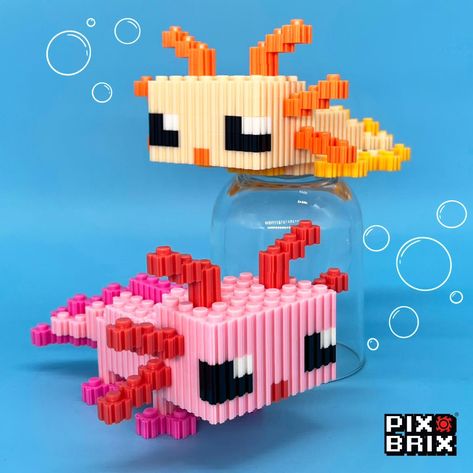 Just finished our latest 3D Pix Brix adventure and we are over the moon! 🌈✨ Meet our new buddies - a dazzling gold Axolotl and its charming pink partner in crime. 🥇🎀 Crafting these cuties was a whirlwind of fun and creativity. If you're itching to create your own adorable Axolotl friends, we've got you covered! Check out the templates on our YouTube and Pinterest - links in bio. 🎥📍 #Axolotl #Stemactivities #Homeschoolers #Axolotllove #Axolotls #MagicaVoxel #Voxel #Homeschooling #StemEducatio... Diy Minecraft Axolotl, Cute Minecraft Axolotl, Lego Axolotl, Axolotl In A Bucket Minecraft, Perler Bead Axolotl 3d, Pixel Art Design, Over The Moon, Stem Activities, Hama Beads