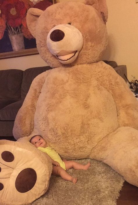 This Grandpa Gave His Granddaughter a Ridiculously Huge Teddy Bear and the Internet Cannot Handle It Massive Teddy Bear, Huge Teddy Bears, Large Teddy Bear, Big Teddy Bear, Big Teddy, Giant Teddy Bear, Giant Teddy, Cute Teddy Bears, Soft Toy