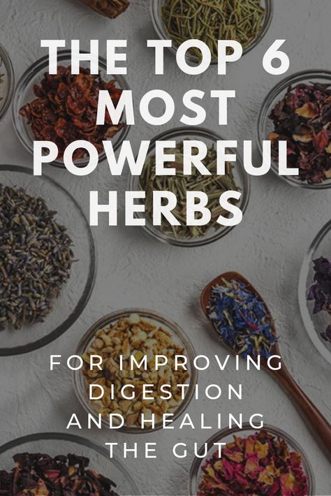 Herbs For Healthy Gut, Herbal Remedies For Digestion, Best Herbs For Gut Health, Herbs For Colon Health, Improving Gut Health Natural Remedies, Holistic Gut Healing, Best Teas For Gut Health, Herbs For Leaky Gut, Herbs For Flat Tummy